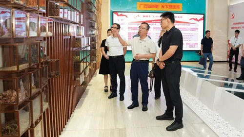 广东省药品监管局在康美药业开展调研指导