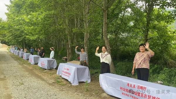 带动大别山农户致富 康美来接待全国客户参访