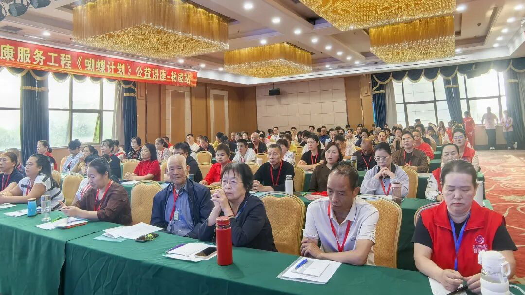 青囊集中低频循经推拿康复技术会咸阳落幕